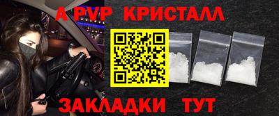 СК Шелехов