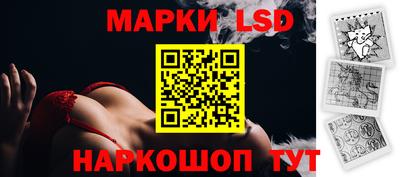 СК Шелехов