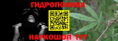 СК Шелехов