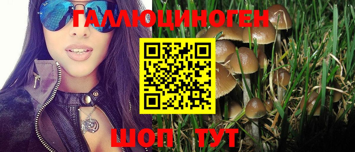 Галлюциногенные грибы MAGIC MUSHROOMS Кувандык